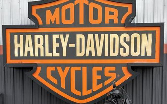 2024 Harley-Davidson® RA1250S - Pan America® 1250 Special