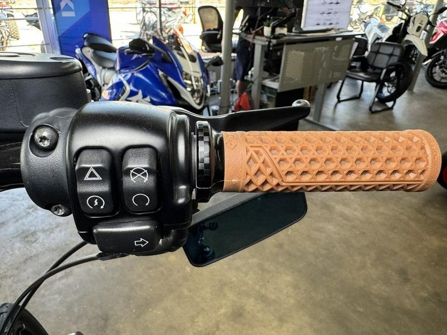 2020 Harley-Davidson® XL883N - Sportster® Iron 883™