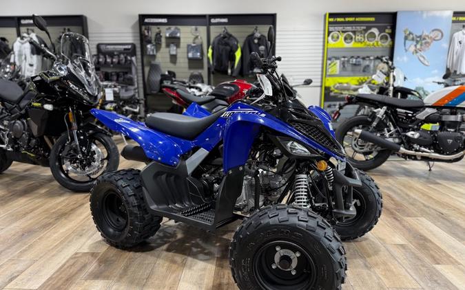2026 Yamaha Raptor 110