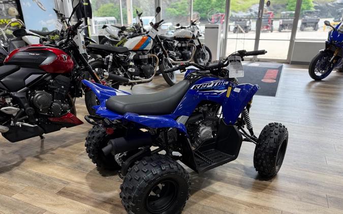 2026 Yamaha Raptor 110