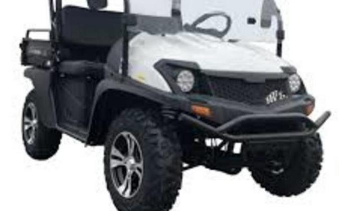 2022 TrailMaster Taurus 200 GX