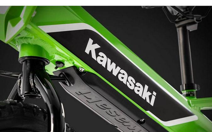 2024 Kawasaki Elektrode