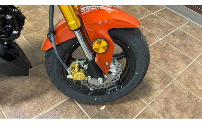 2025 Kawasaki Z125 PRO