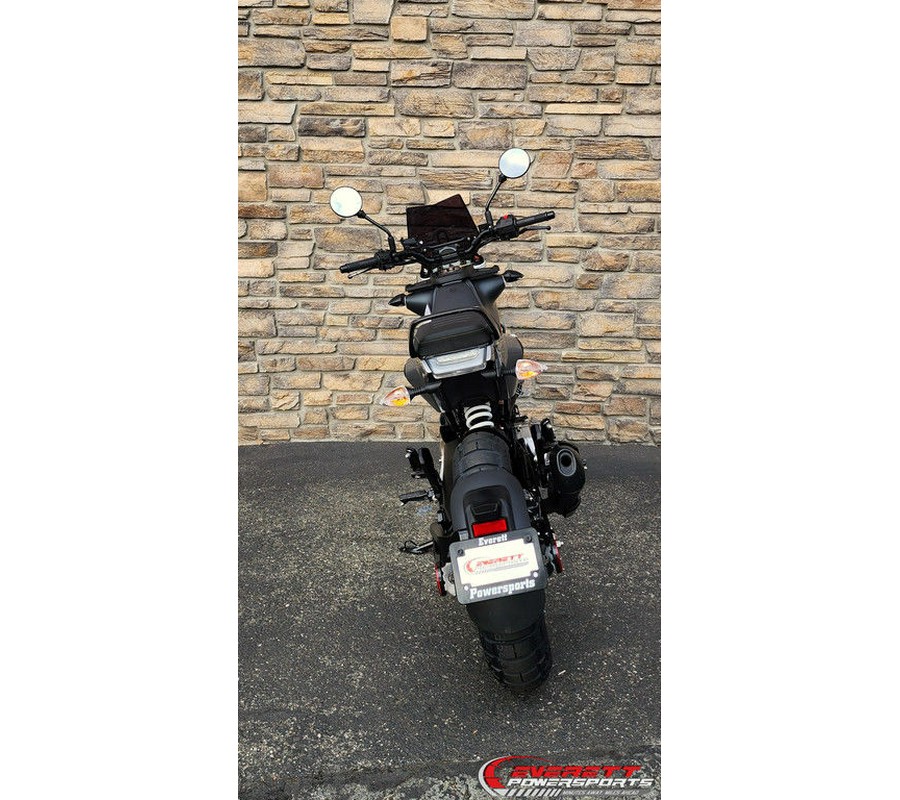 2020 Husqvarna® Svartpilen 401