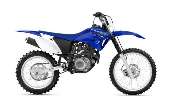 2021 Yamaha TT-R230