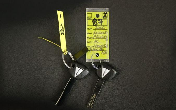 2025 Kawasaki Z500 SE ABS