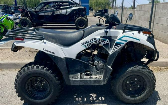 2022 Kawasaki Brute Force 300