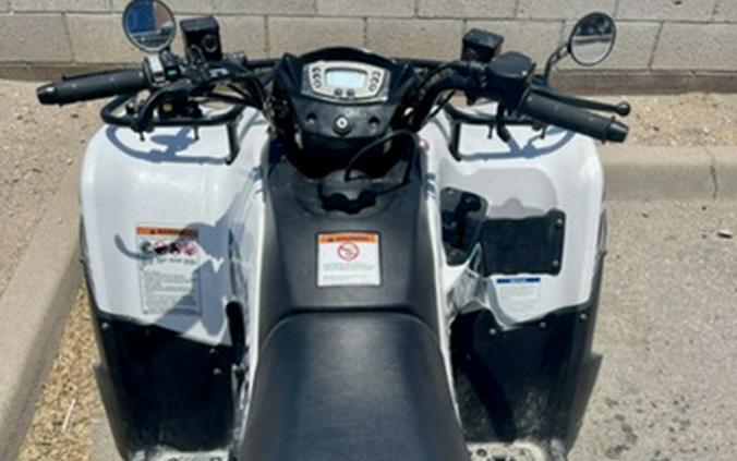 2022 Kawasaki Brute Force 300
