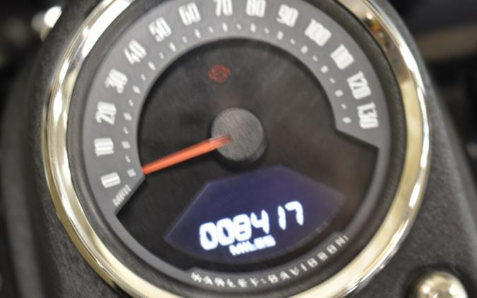 2021 Harley-Davidson Low Rider S