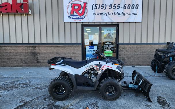 2021 Kawasaki Brute Force 300