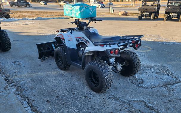 2021 Kawasaki Brute Force 300