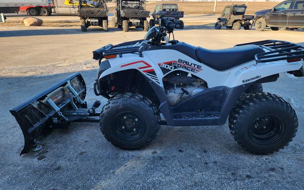 2021 Kawasaki Brute Force 300