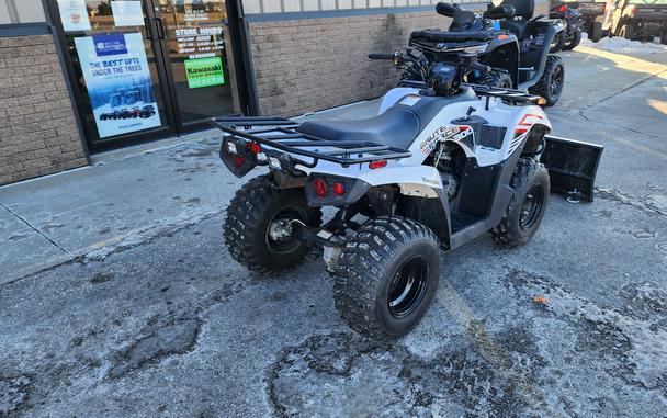 2021 Kawasaki Brute Force 300