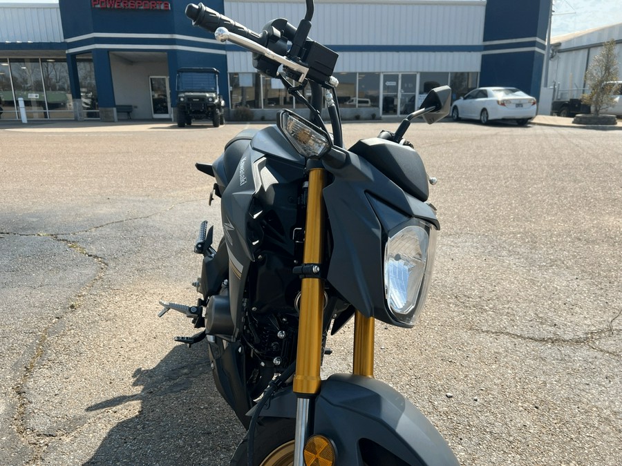 2024 Kawasaki Z125 Pro