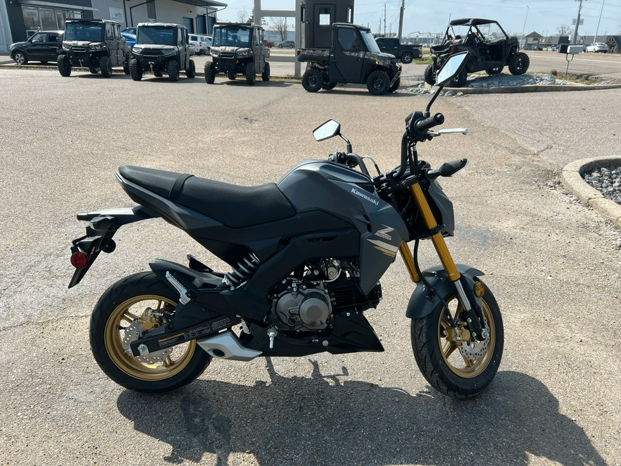 2024 Kawasaki Z125 Pro