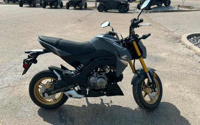 2024 Kawasaki Z125 Pro