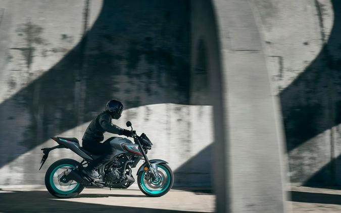 2023 Yamaha MT-03 First Look Preview