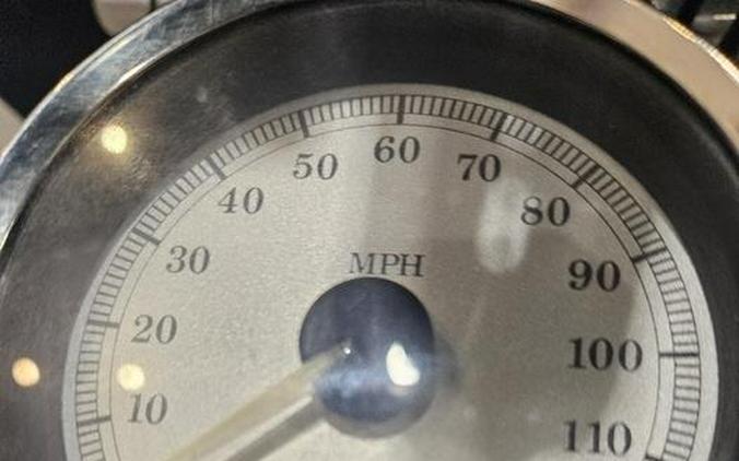 2010 Harley-Davidson® FXDB - Dyna® Street Bob®