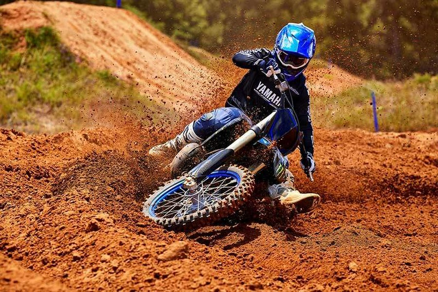 2025 Yamaha YZ 250F Monster
