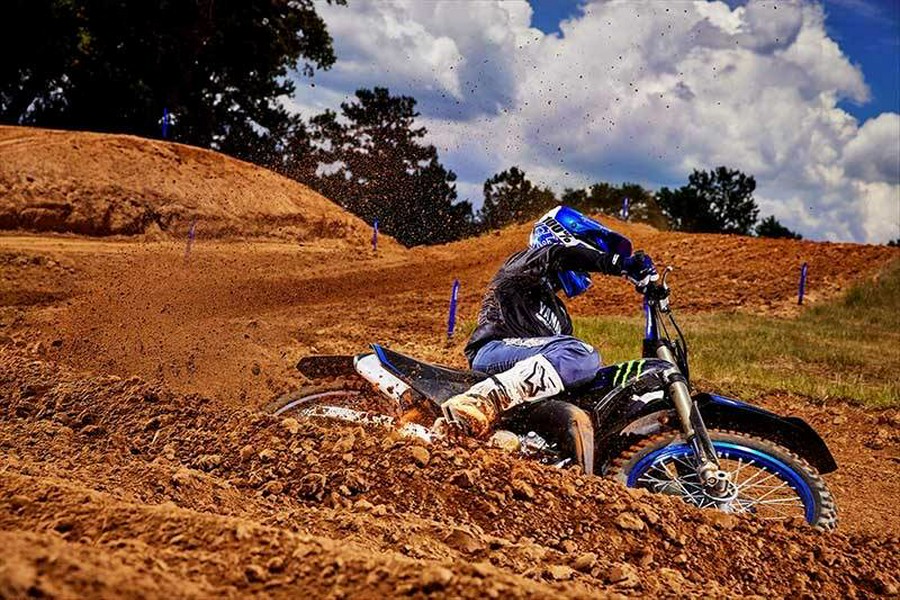 2025 Yamaha YZ 250F Monster