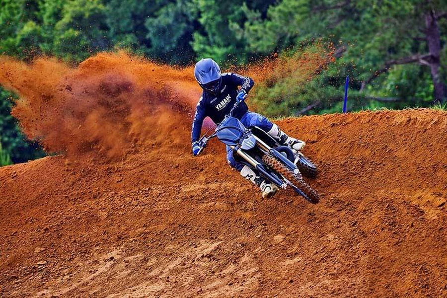 2025 Yamaha YZ 250F Monster