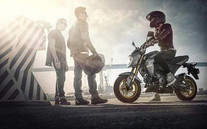 2024 Z125 PRO - Kawasaki