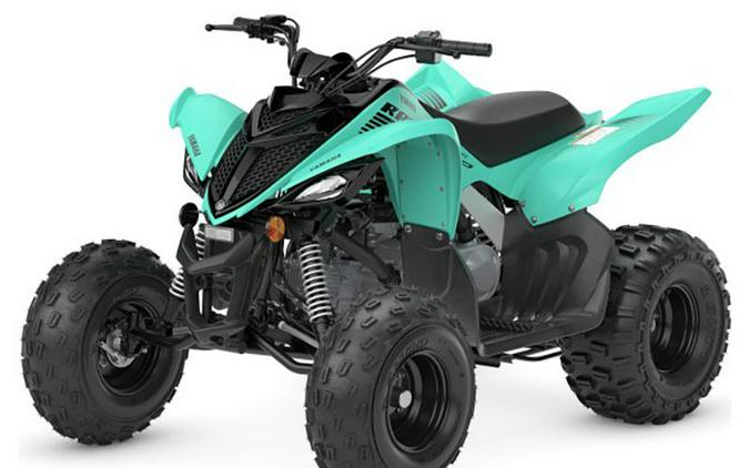 2024 Yamaha Raptor 110