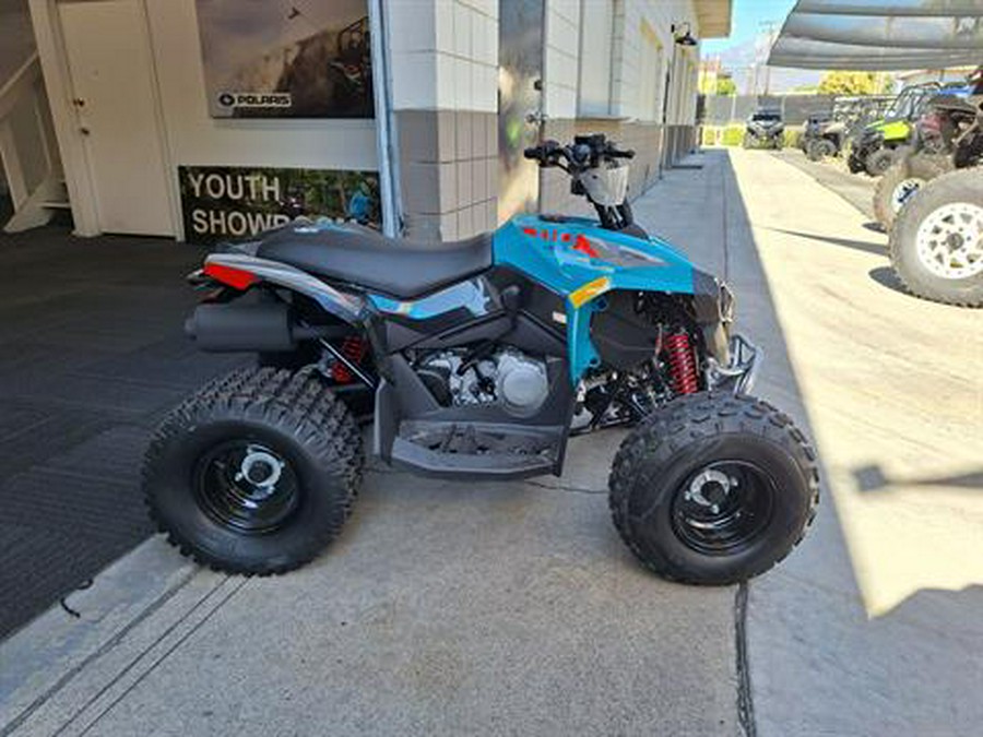 2024 Can-Am Renegade 110 EFI