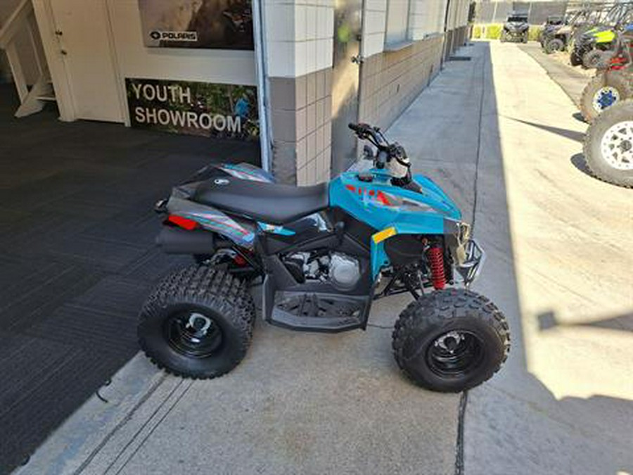 2024 Can-Am Renegade 110 EFI