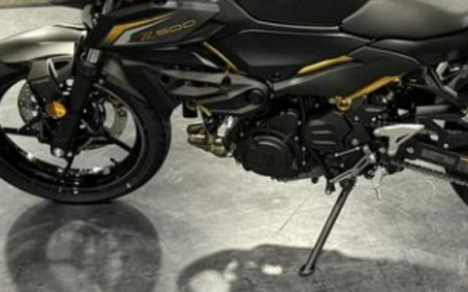 2026 Kawasaki Z500 ABS