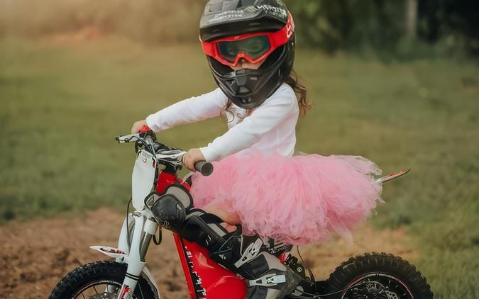 2023 Oset Electric Bikes 12.5R