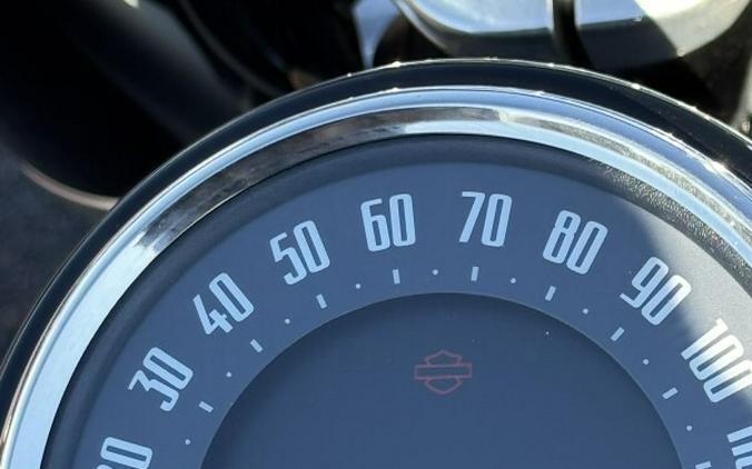 2020 Harley-Davidson® Softail Slim®