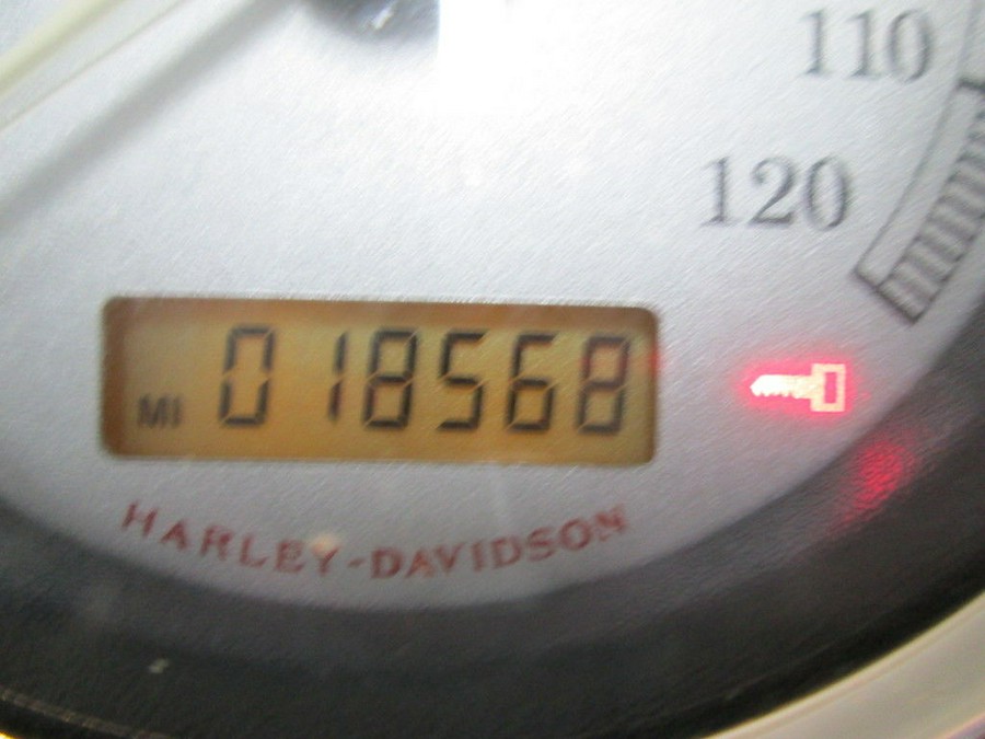 2009 Harley-Davidson® FXDL - Dyna® Low Rider®