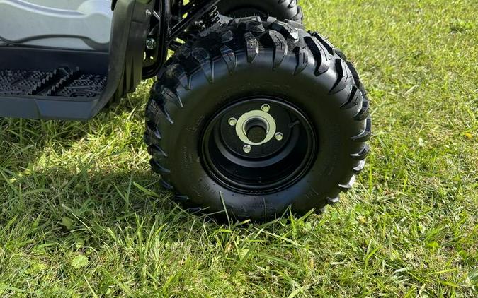 2026 Yamaha Grizzly 110