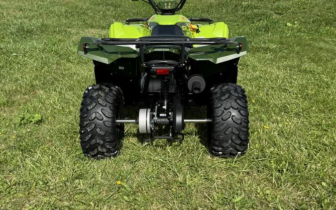 2026 Yamaha Grizzly 110