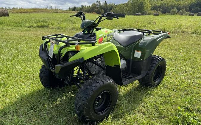 2026 Yamaha Grizzly 110