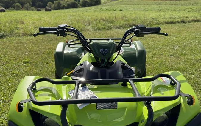 2026 Yamaha Grizzly 110