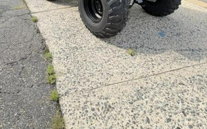 2027 Honda® FourTrax Rancher DCT EPS