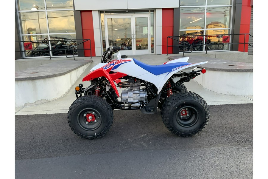 2026 Honda TRX250X
