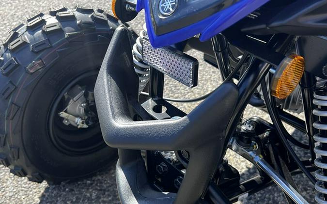 2026 Yamaha Raptor 110