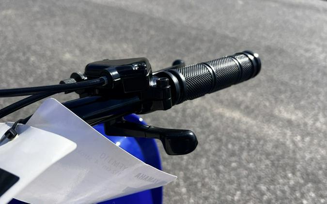 2026 Yamaha Raptor 110