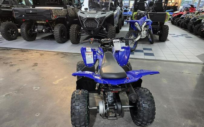2026 Yamaha Raptor 110