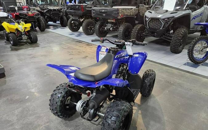 2026 Yamaha Raptor 110