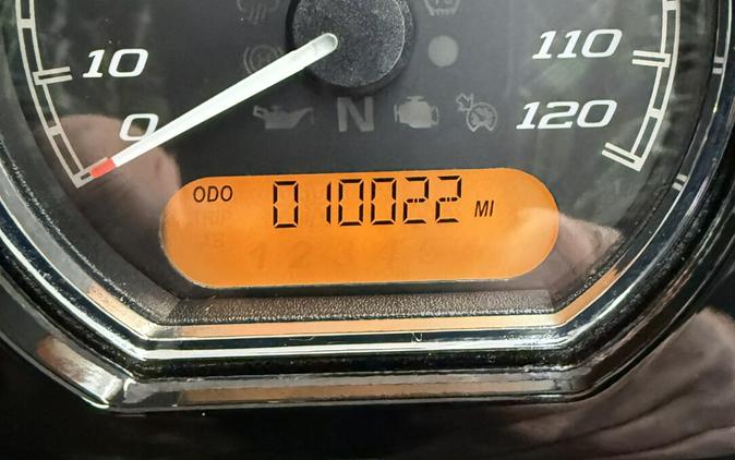 2020 Harley-Davidson® Road Glide® Special Eagle Eye