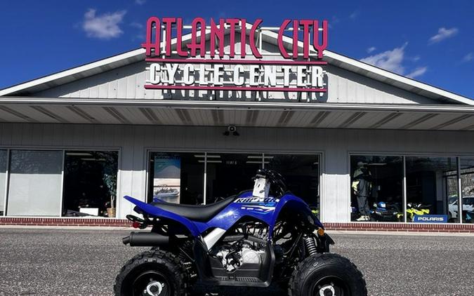 2026 Yamaha Raptor 110