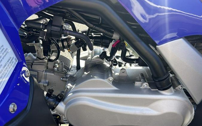 2026 Yamaha Raptor 110