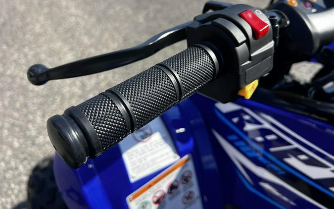 2026 Yamaha Raptor 110