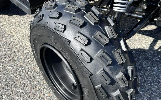 2026 Yamaha Raptor 110