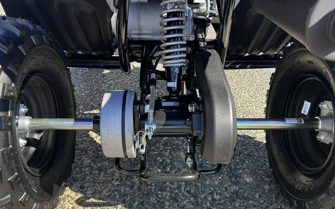 2026 Yamaha Raptor 110