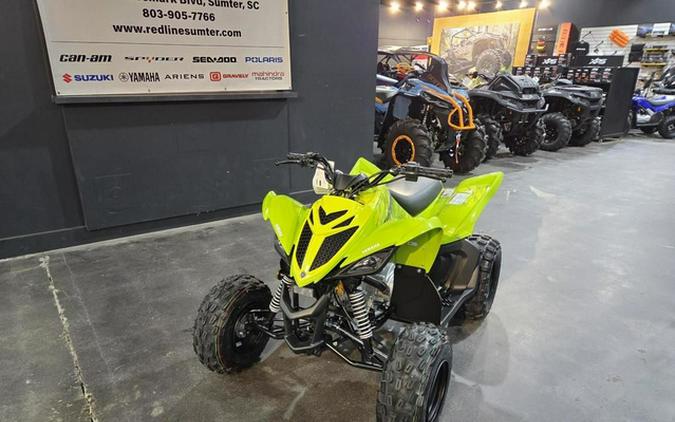 2026 Yamaha Raptor 110